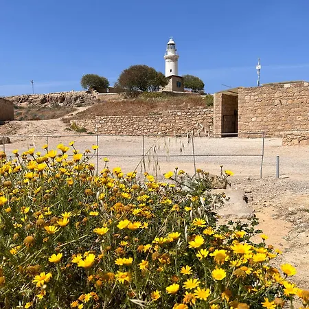 Pafia Modern Paphos