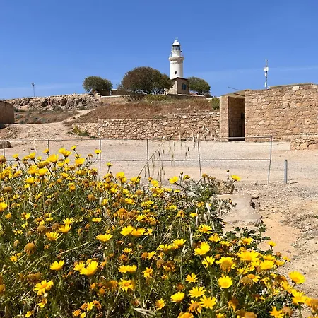 Pafia Modern Paphos